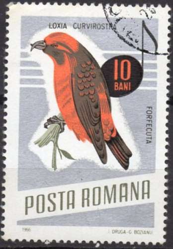 9541N - Y&T n° 2212 - oblitéré - Bec croisé - 1966 - Roumanie