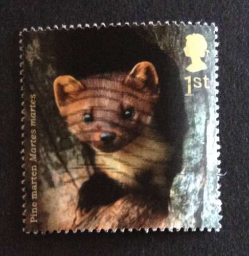 GB 2004 Woodland animals Stoat   YT 2584 