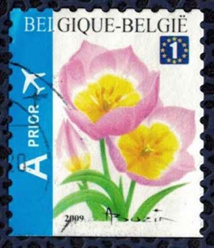 Belgique 2009 Oblitéré rond Used Fleurs Tulipe Tulip Bakeri
