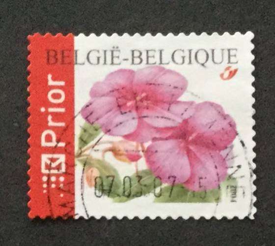 Belgique 2004 YT 3299