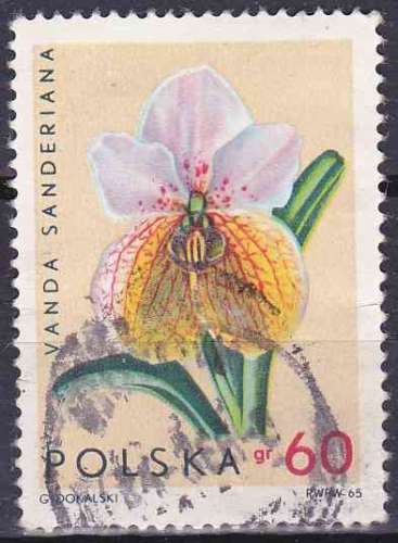 POLOGNE 1965 OBLITERE N° 1467 fleurs