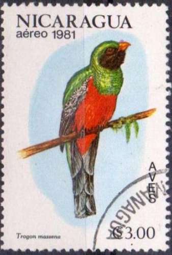 Nicaragua 1981 Oiseaux - Trogon de Masséna - Y&T PA 966 (o)