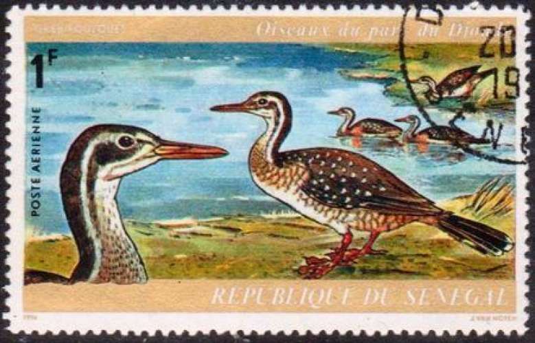 Sénégal 1974 Oiseaux du parc de Djouj - Grebifoulques - Y&T PA 134 (o)