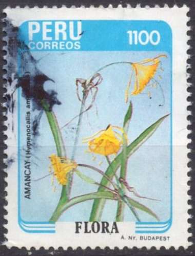 C040 - Y&T n° 822 - oblitéré - Hymenocallis amancaes - 1986 - Pérou