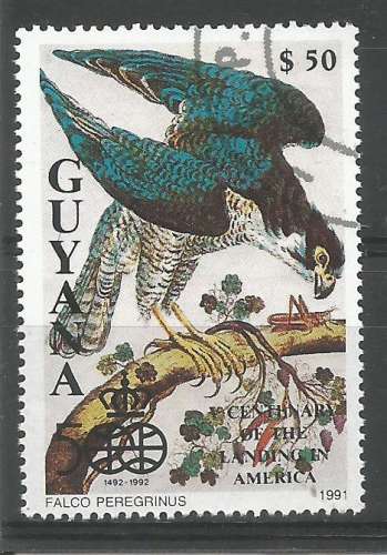 Guyane 1991 - YT  n° 2685C - Oiseau - falco - cote 2,00