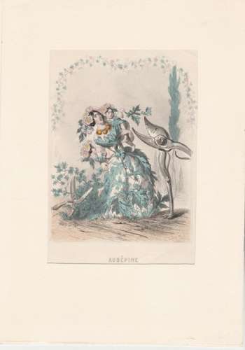 Gravure  de Granville lithographie Le retour des fleurs : Aubépine  XIXe