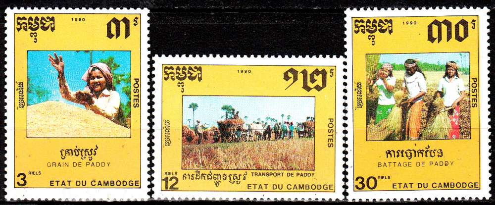 Cambodge 907 / 09 Fête nationale / Le paddy