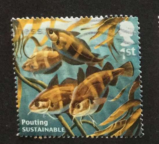 GB 2014 Sustainable fish Pouting 1st  YT 4020 