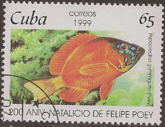 CUBA 1999 : yt 3803 Oblitéré/Used # Poisson - Hypoplectrus gummigutta