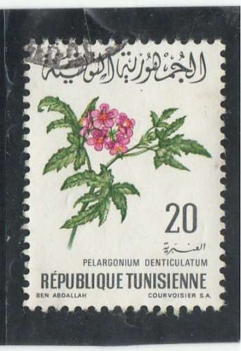 TUNISIE n° 645 oblitéré °