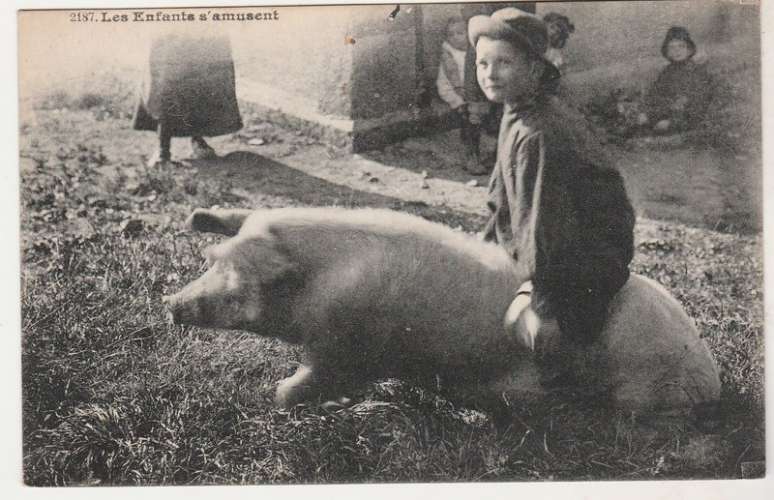 cpa Les Enfants s'amusent .. ( à cheval sur un cochon )