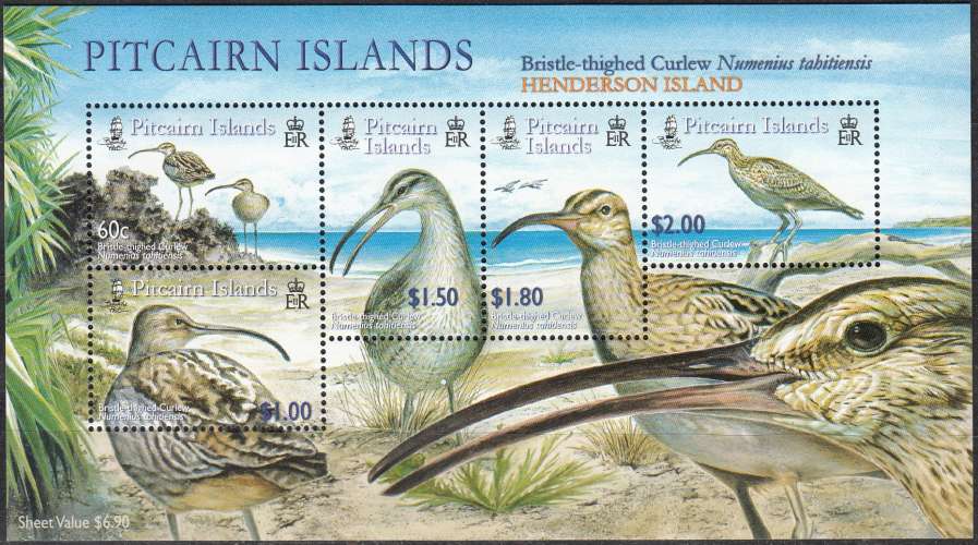 Pitcairn Islands 2005 Bloc Feuillet Oiseau Courlis d'Alaska Neuf ** 