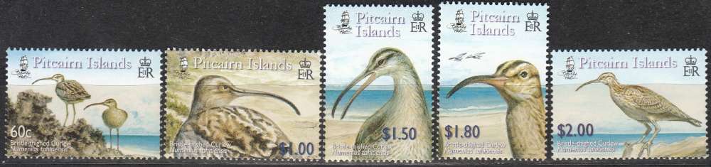 Pitcairn Islands 2005 Oiseau Courlis d'Alaska Neuf **