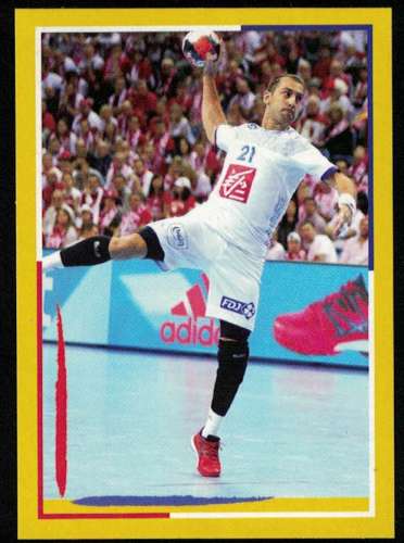 Panini Handball 2017 Michaël Guigou France Sticker N° 61