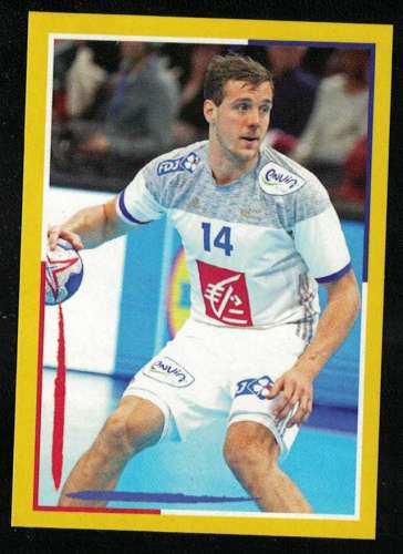 Panini Handball 2017 Kentin Mahé France Sticker N° 58