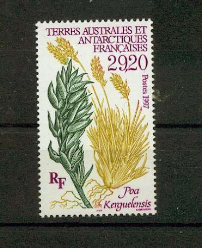 TAAF 220 flore Poa Kerguelensis neufs * * TB mnh sin charnela prix de la poste 4.45