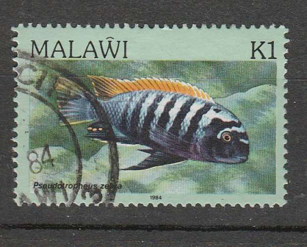 Malawi poissons  YT 425 o