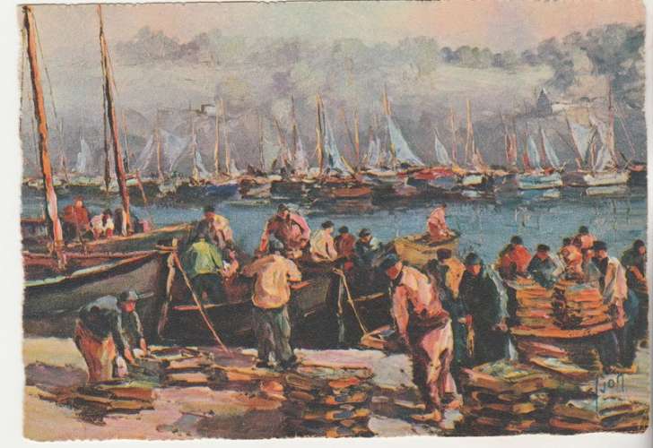  cpsm 29  Douarnenez Les Filets Bleus illustration Yvon
