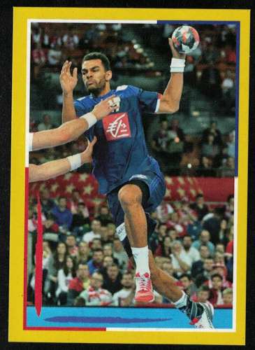 Panini Handball 2017 Adrien Dipanda France Sticker N° 85
