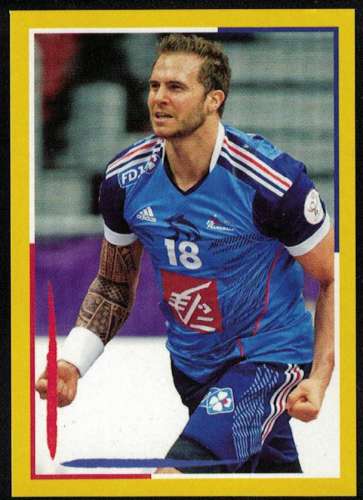 Panini Handball 2017 William Accambray France Sticker N° 69