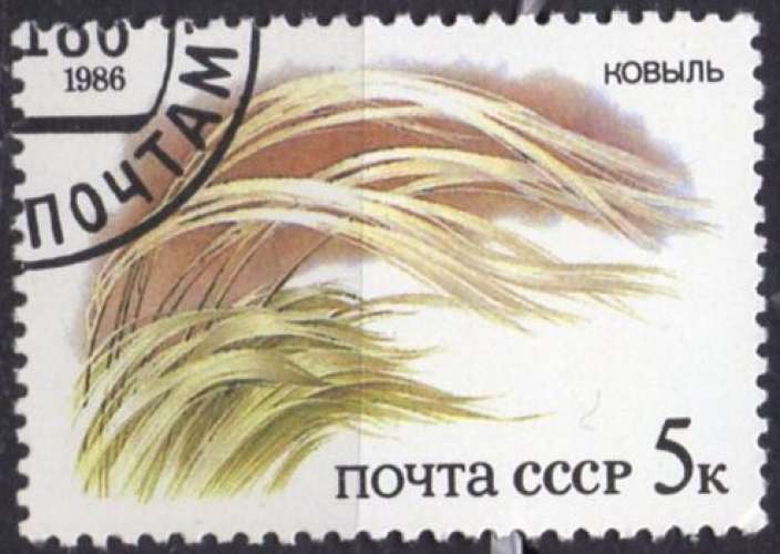 6675N - Y&T n° 5276 - oblitéré - Herbe des pampas - 1986 - Russie