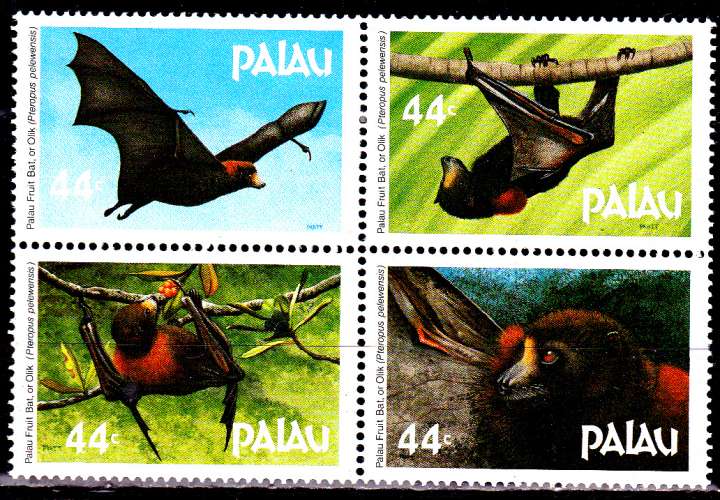 Palau 154 / 57 Les chauves-souris frugivores