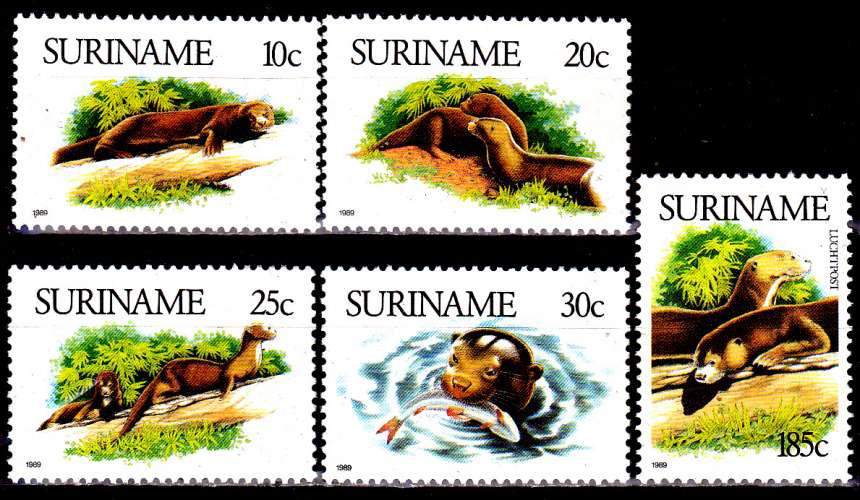 Surinam 1144 / 47 + Pa 99 Protection faune / La loutre