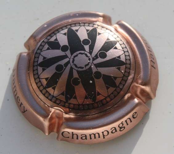 Capsule champagne Haton & fils Damery