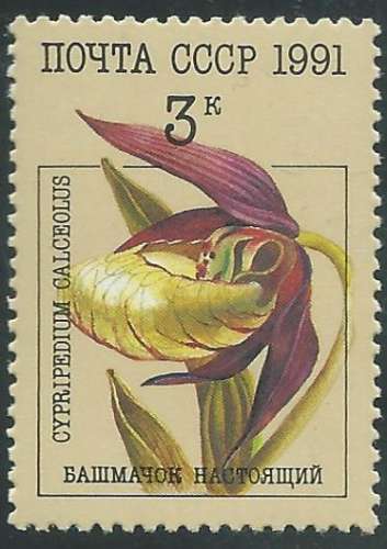 Russie - Y&T 5851 (**) - Orchidées -