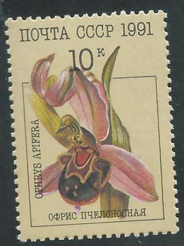 Russie - Y&T 5853 (**) - Orchidées -