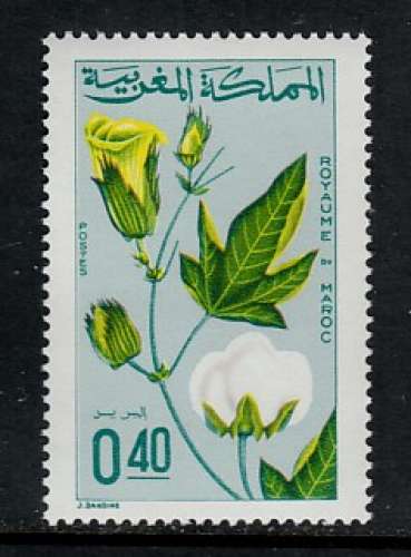 TIMBRE NEUF DU MAROC - AGRICULTURE : COTON N° Y&T 531