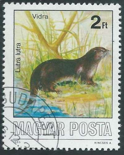 Hongrie - Y&T 3070 (o) - Loutre -