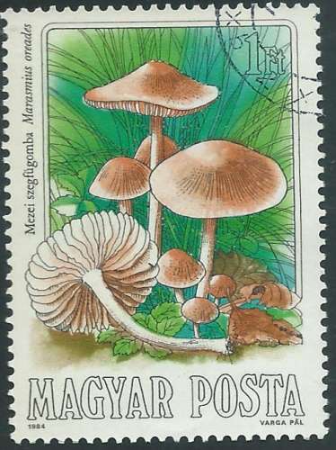 Hongrie - Y&T 2935 (o) - Champignons comestibles-