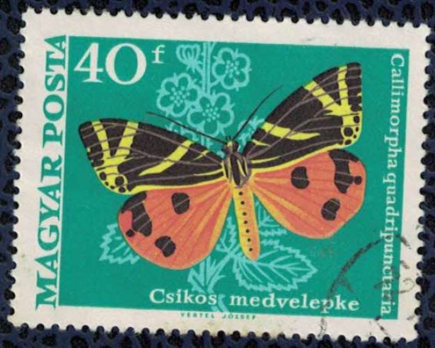 Hongrie 1969 Oblitéré Used Papillon Callimorpha quadripunctaria Écaille chinée SU