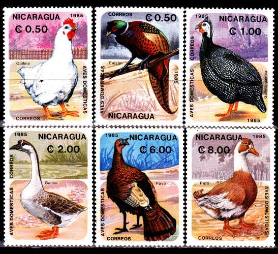 Nicaragua 1376 / 76E Oiseaux domestiques