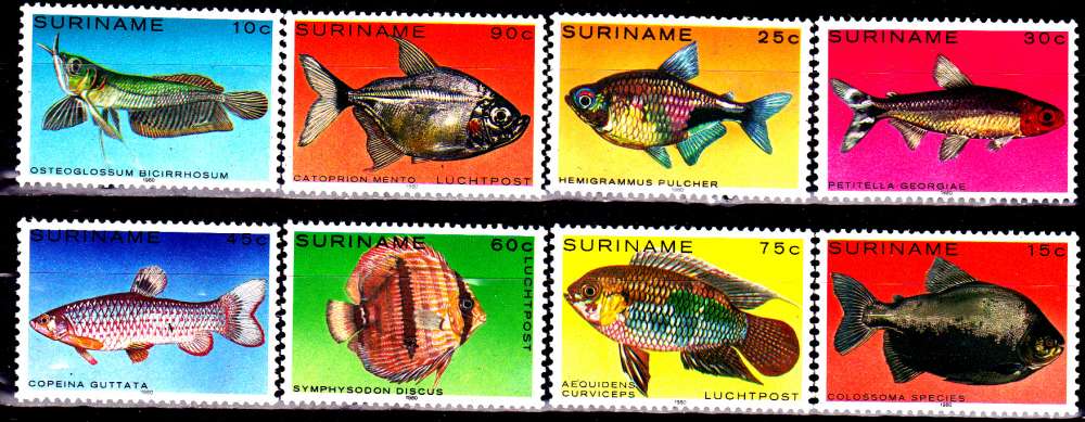 Surinam 796 / 00 Pa 85 / 87 Poissons de l´Amazonie