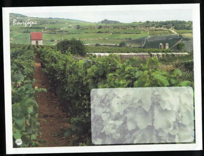 France Enveloppe neuve illustrée vignobles de Bourgogne