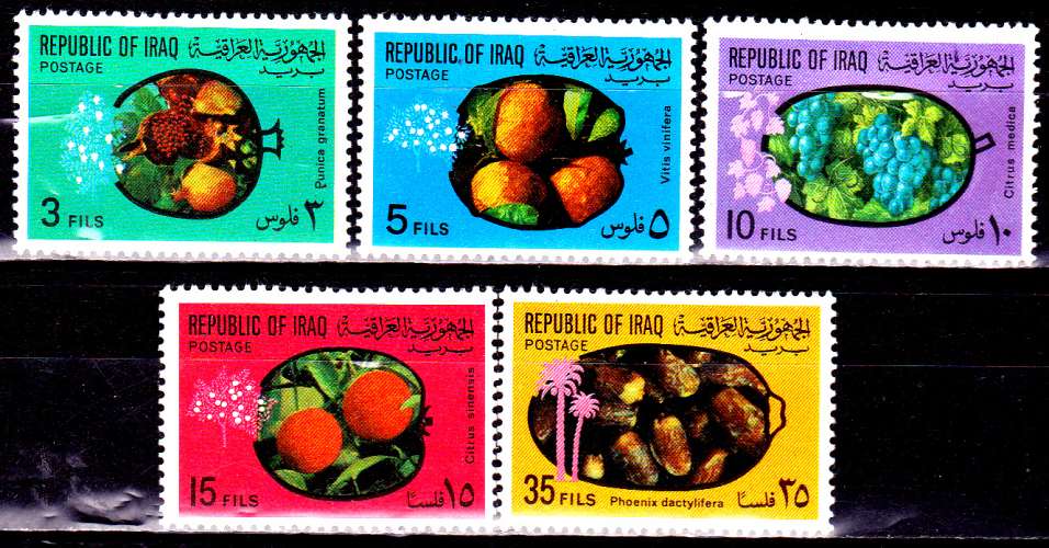 Iraq 593 / 97 Fruits