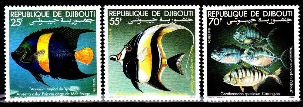 Djibouti 527 / 29 Poissons