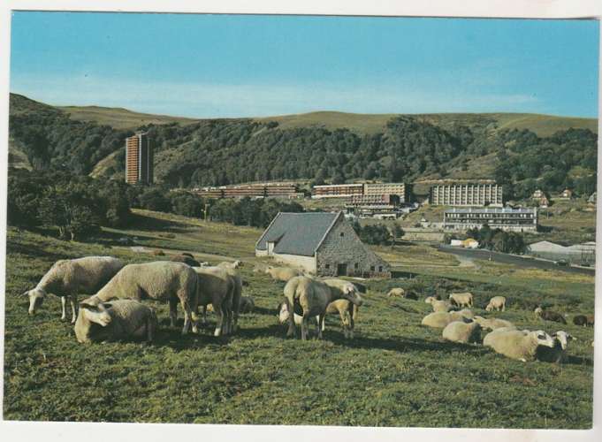 Cpm 63 Super-Besse Poésie pastorale ( moutons )