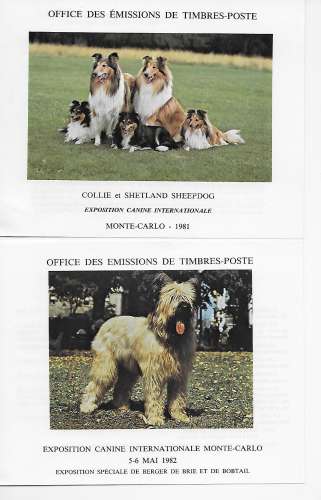 MONACO document recto verso chien
