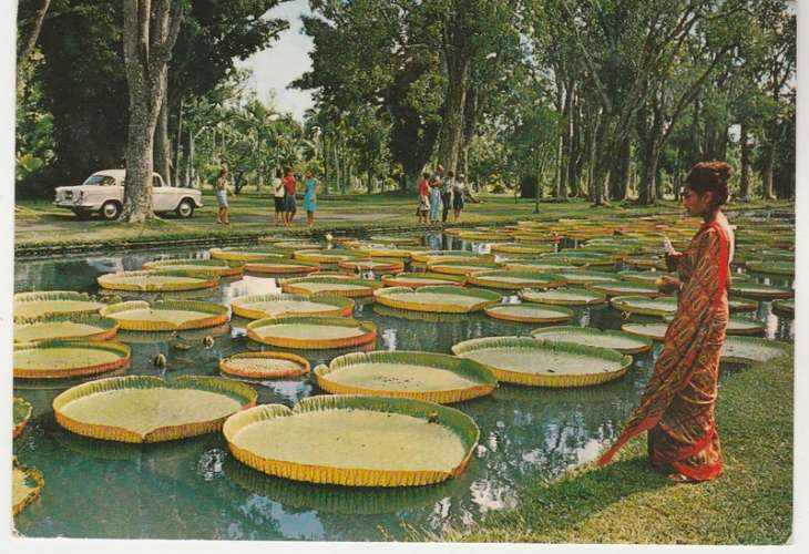 Cpm Ile Maurice  Jardin de Pamplemousses  timbrée YT 460