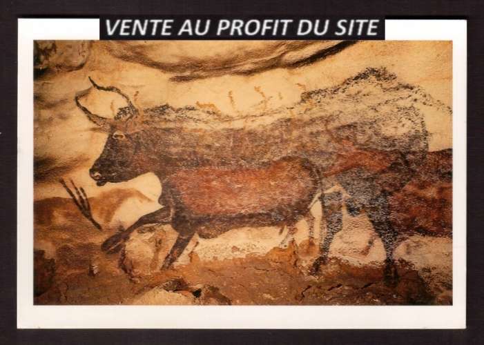 Pour le site Cpm Dordogne Lascaux grand aurochs noir rougeâtre photographie  de la grotte originale