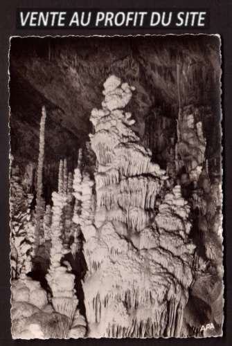Pour le site Cpm Lozère l'Aven-Armand stalagmite monumentale au bord du gouffre surmontée par...