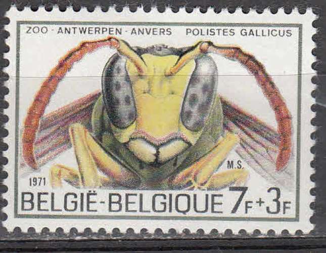 Belgique 1971  Y&T  1612  N**