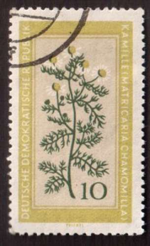Allemagne orientale 1960 Y&T 472 (o) plante médicinale