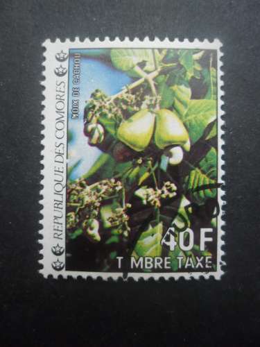 COMORES Taxe N°13 Noix de cachou oblitéré