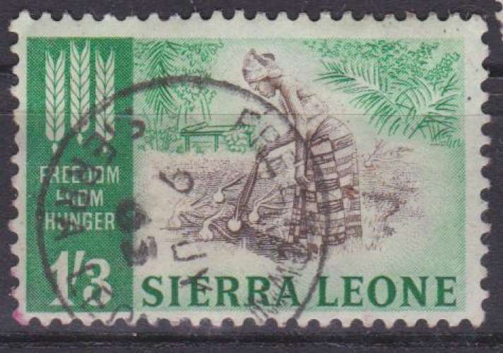 Sierra Leone 1963 YT 227 Obl Lutte contre la faim