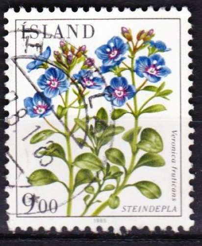 Islande 1985 YT 582 Obl Fleur Veronique buissonante