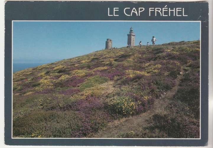 cpm 22 Le Cap Fréhel  les Phares vus des Landes fleuries 